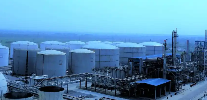 临颍东泰粮食榨油设备型号对比与选型参数分析
